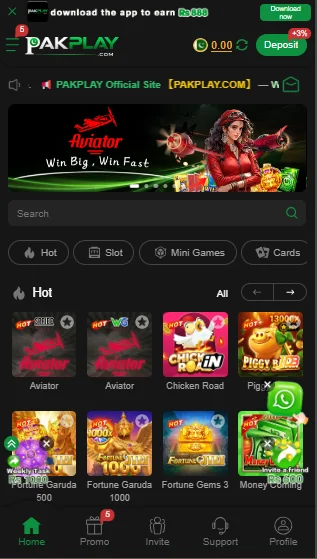 PakPlay