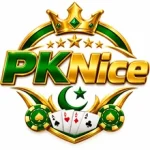 PKNice Game