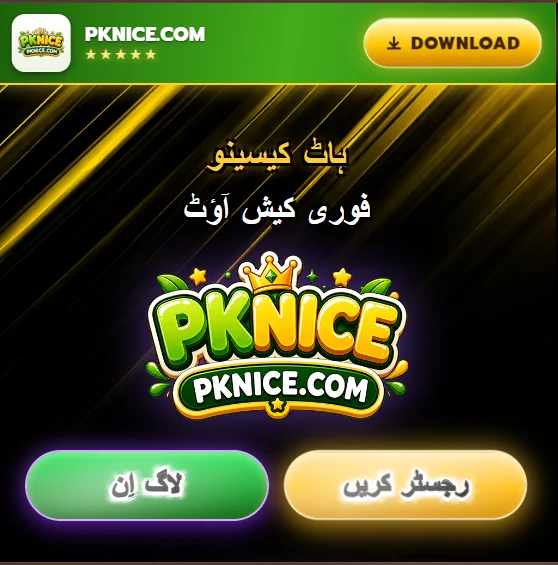 PKNice Game