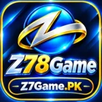 Z78 Game